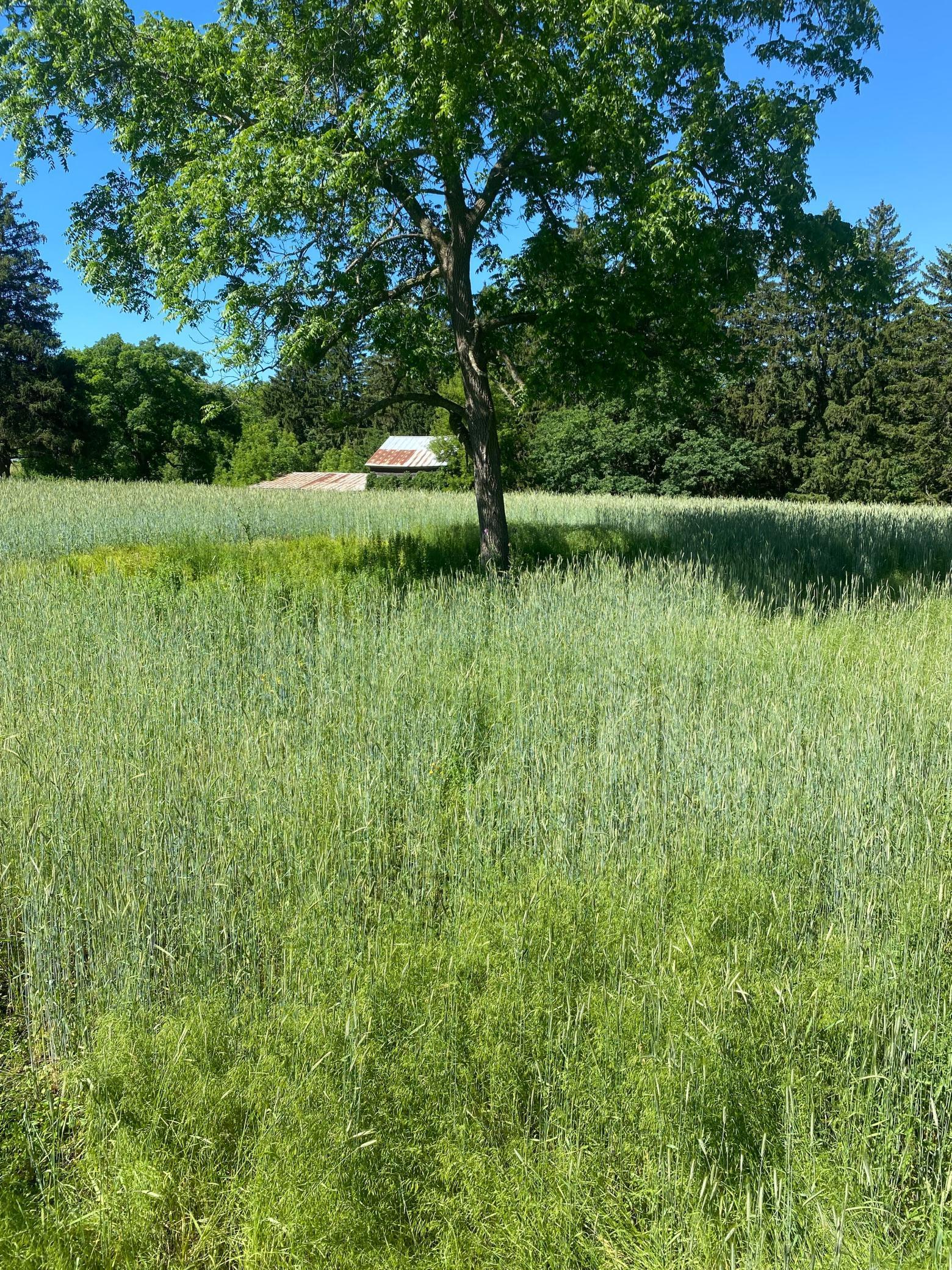 27333 Deep River Road Lanesboro, MN 55949 - Photo 49 of 71