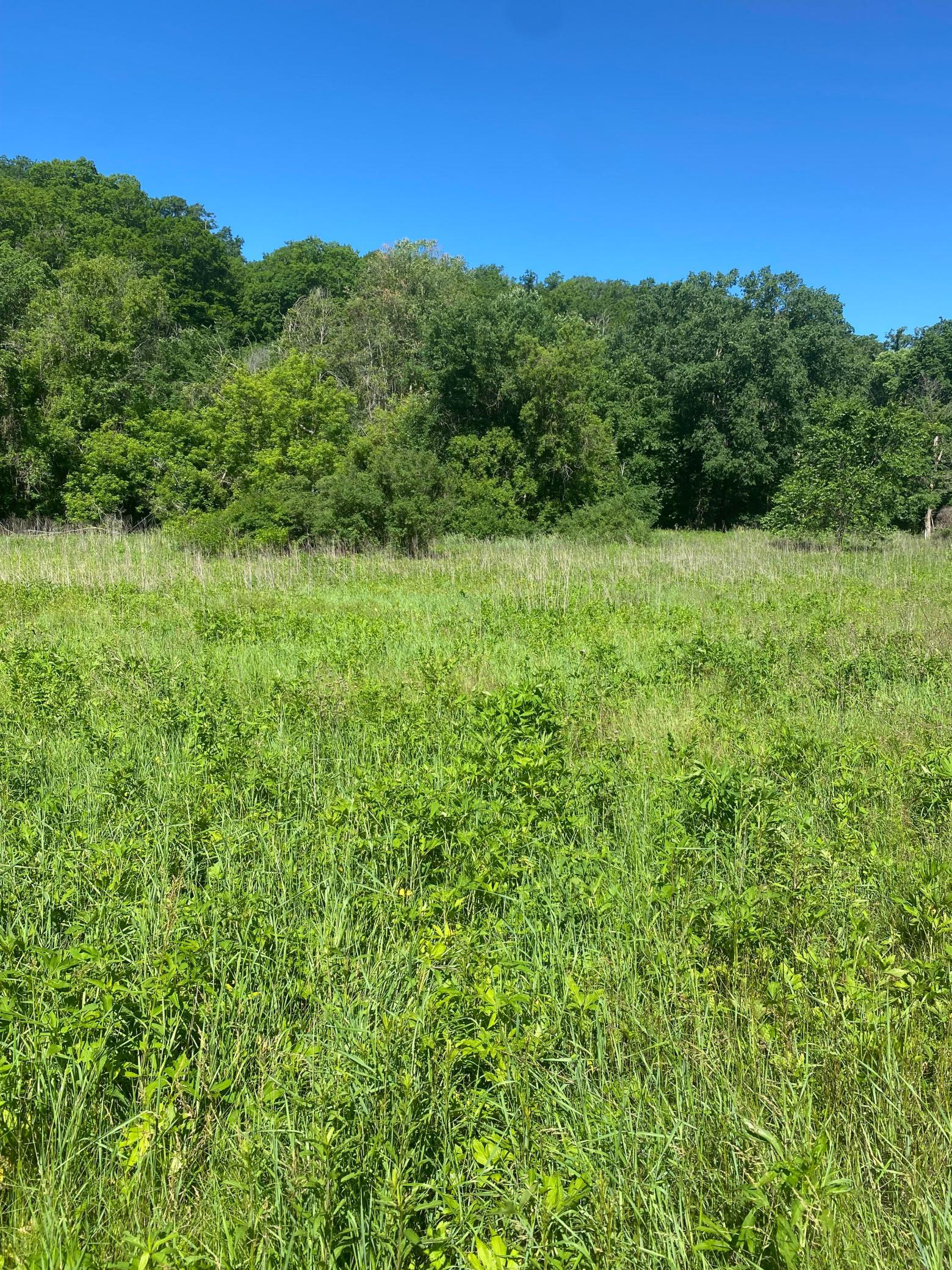 27333 Deep River Road Lanesboro, MN 55949 - Photo 49 of 90