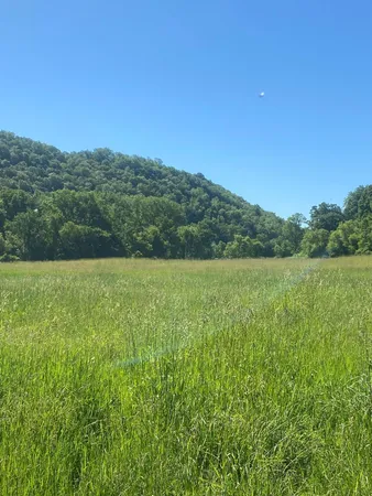 $9,990,000 | 27333 Deep River Road, Lanesboro, MN 55949