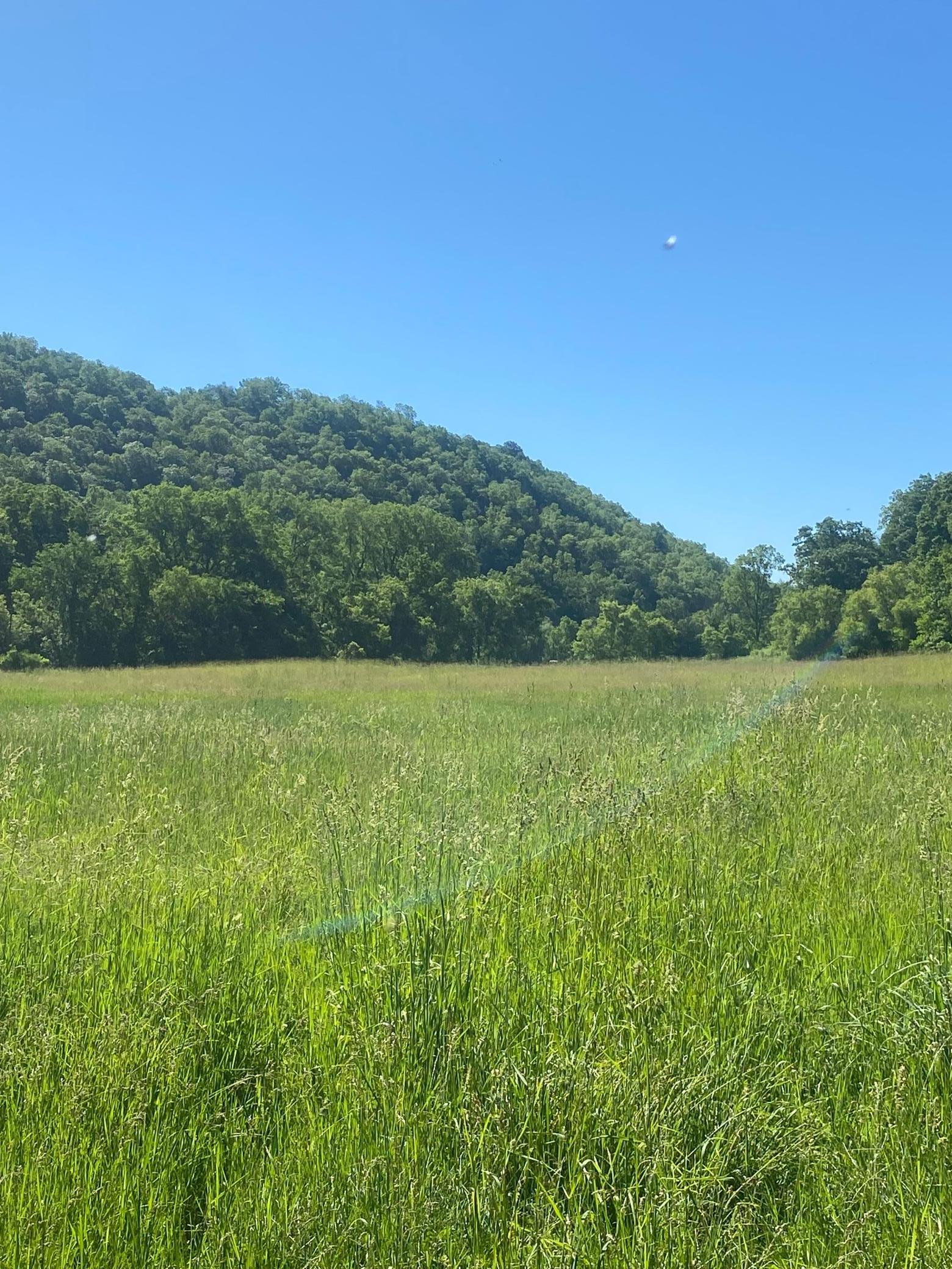 27333 Deep River Road Lanesboro, MN 55949 - Photo 5 of 71