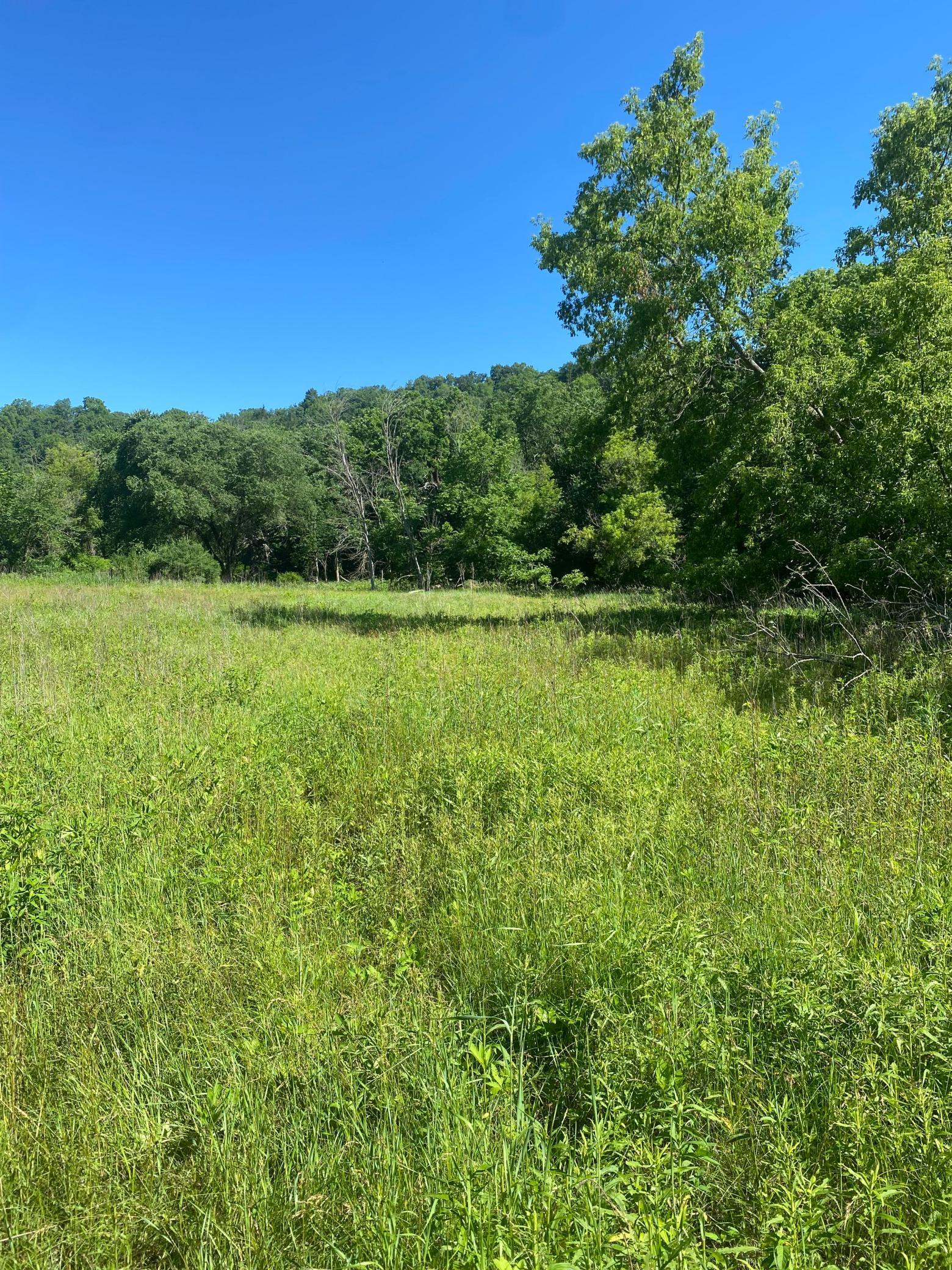 27333 Deep River Road Lanesboro, MN 55949 - Photo 51 of 71