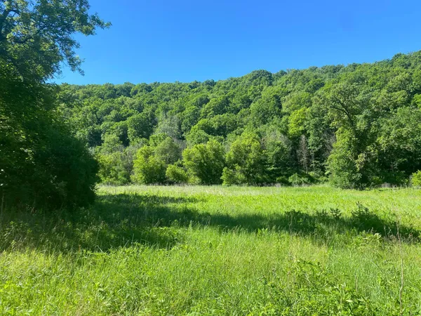 $9,990,000 | 27333 Deep River Road, Lanesboro, MN 55949