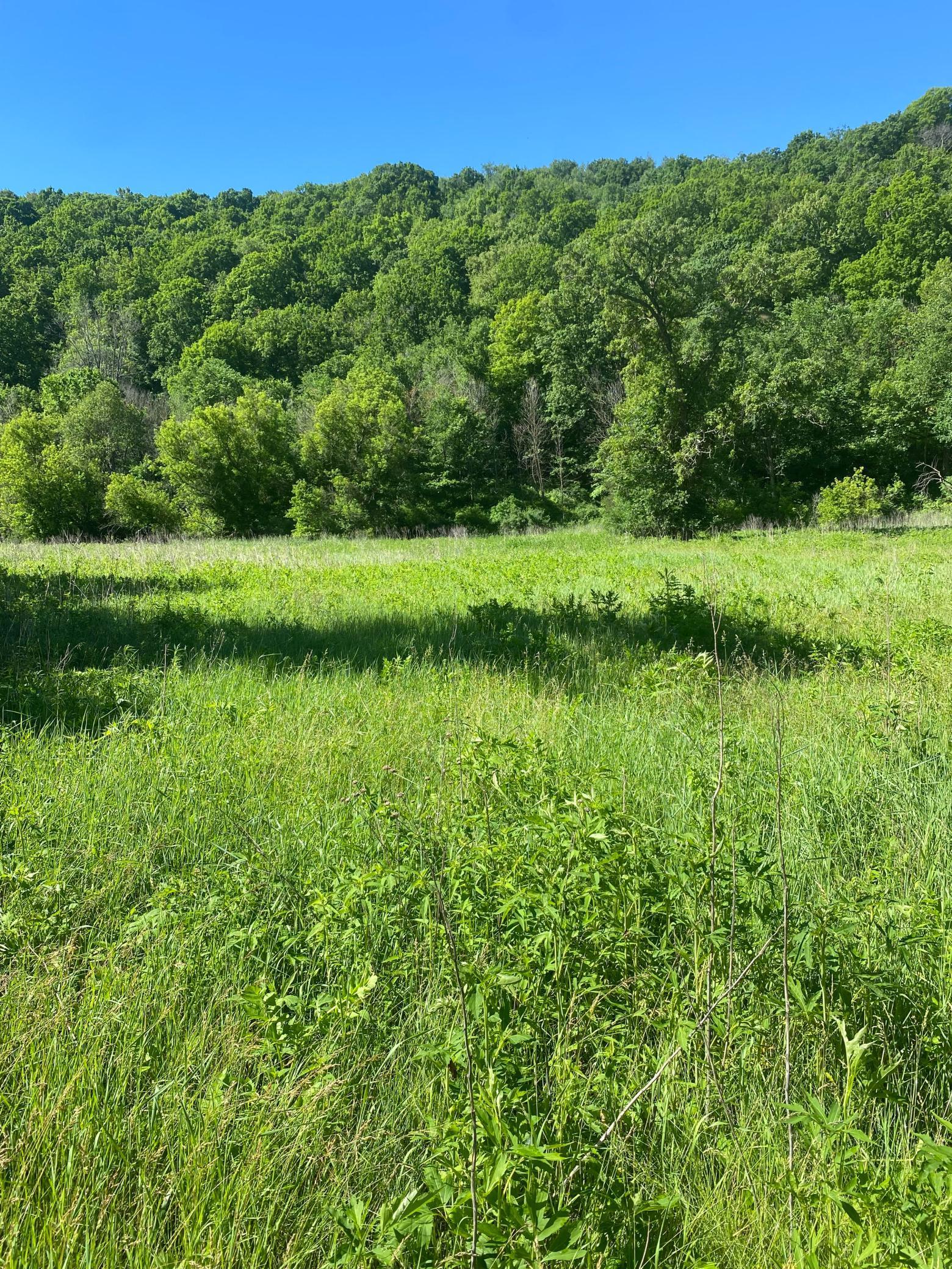 27333 Deep River Road Lanesboro, MN 55949 - Photo 53 of 71