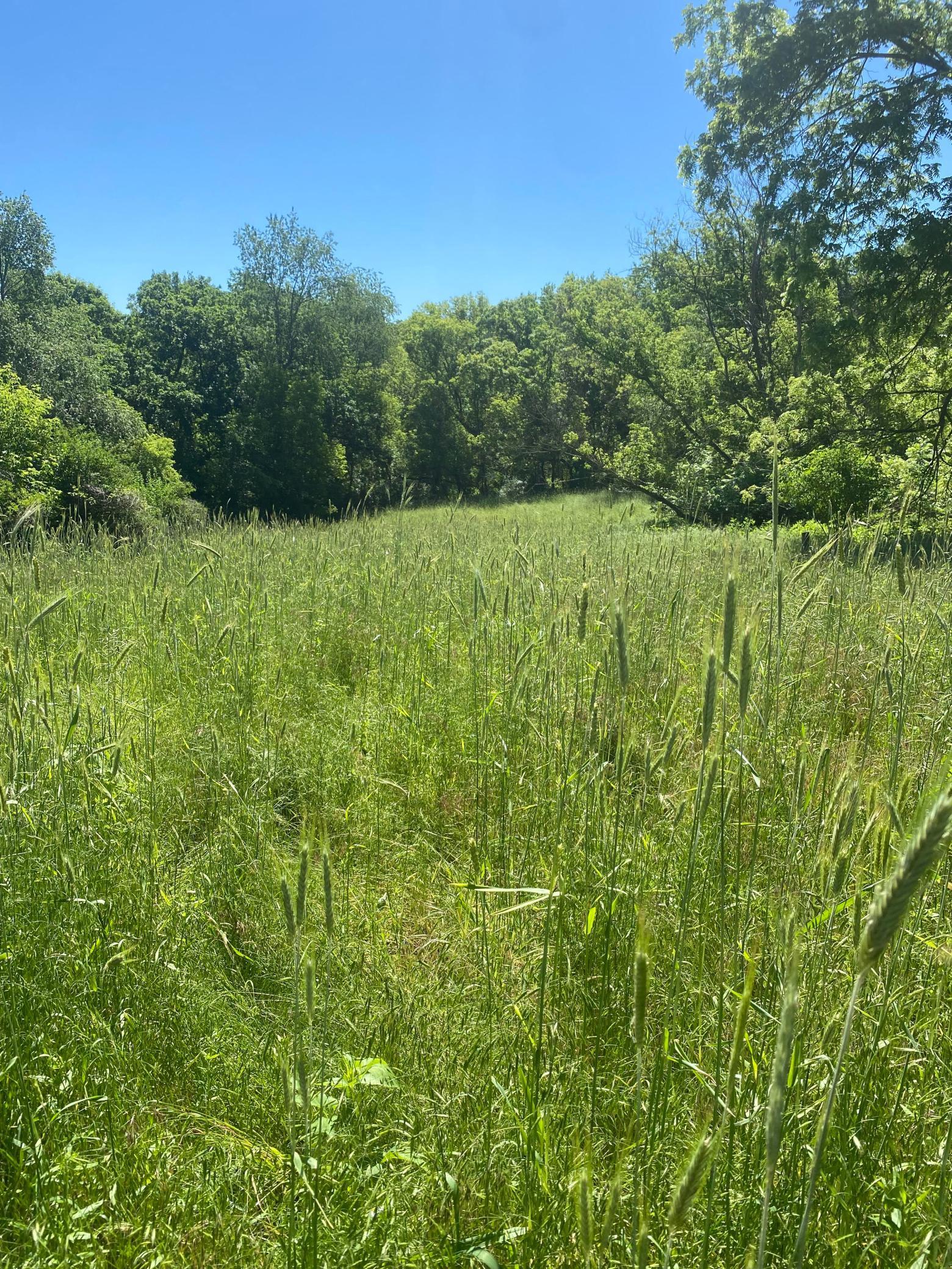 27333 Deep River Road Lanesboro, MN 55949 - Photo 57 of 71