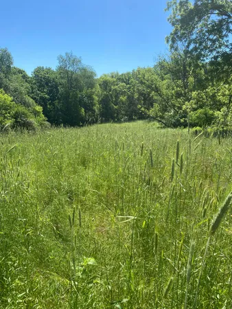 $9,990,000 | 27333 Deep River Road, Lanesboro, MN 55949