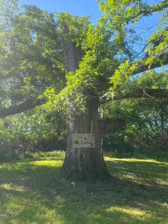 $9,990,000 | 27333 Deep River Road, Lanesboro, MN 55949