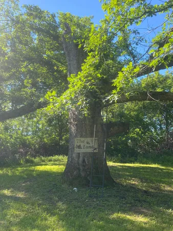 $9,990,000 | 27333 Deep River Road, Lanesboro, MN 55949
