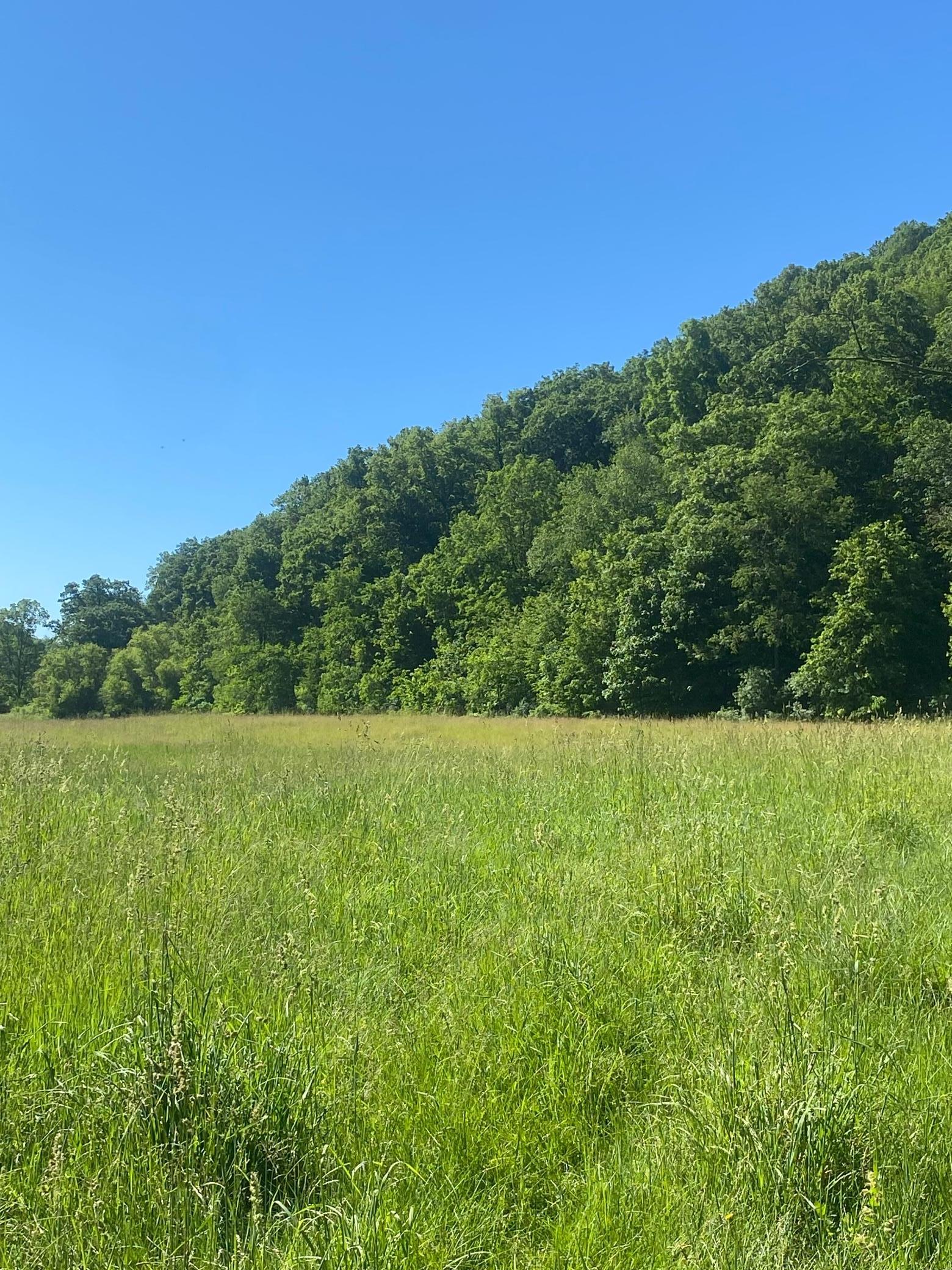 27333 Deep River Road Lanesboro, MN 55949 - Photo 6 of 71