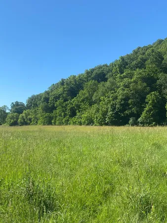 $9,990,000 | 27333 Deep River Road, Lanesboro, MN 55949