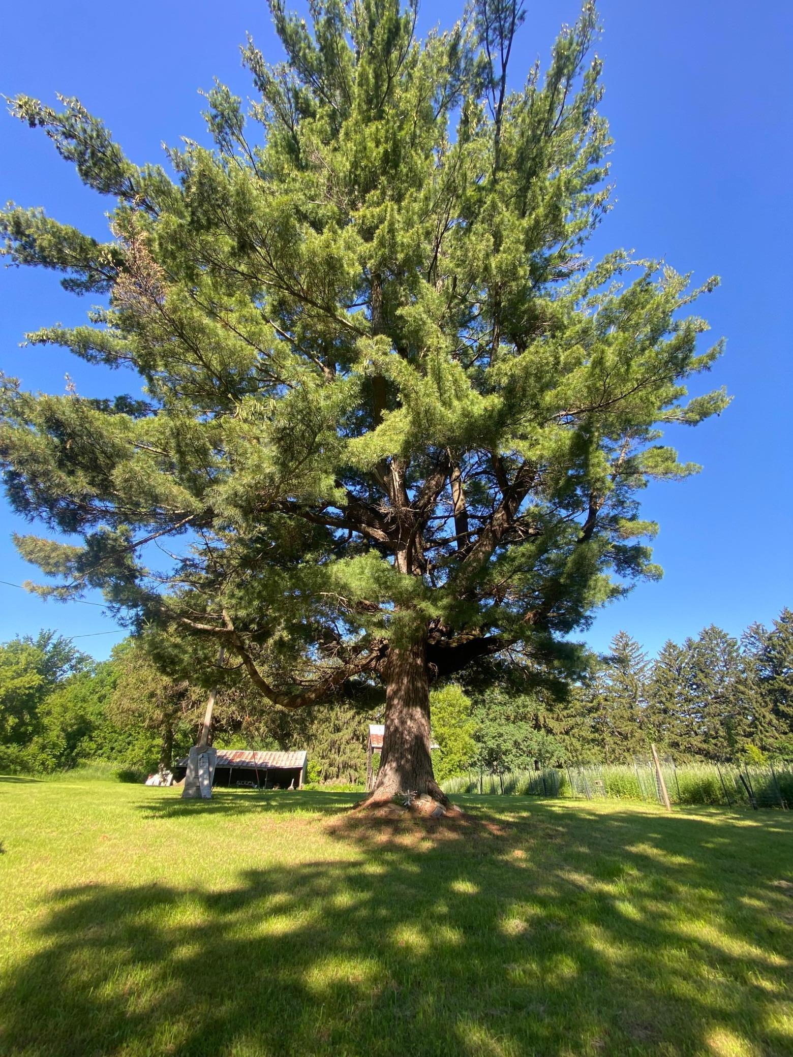 27333 Deep River Road Lanesboro, MN 55949 - Photo 64 of 71