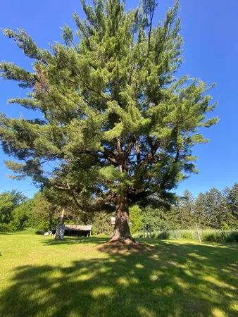 $9,990,000 | 27333 Deep River Road, Lanesboro, MN 55949