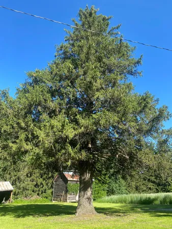 $9,990,000 | 27333 Deep River Road, Lanesboro, MN 55949