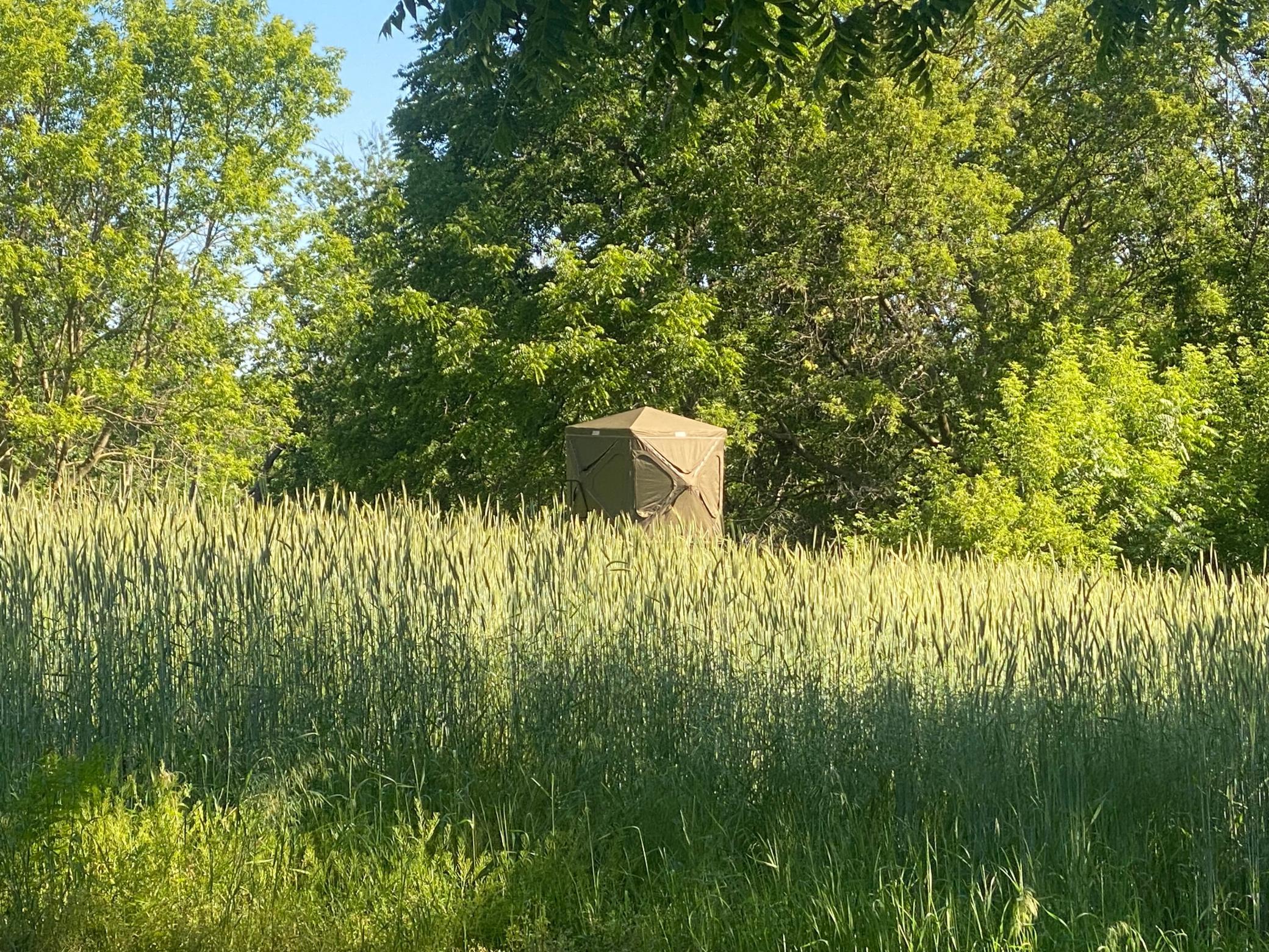 27333 Deep River Road Lanesboro, MN 55949 - Photo 68 of 71