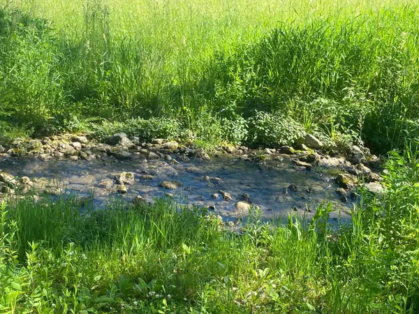 $9,990,000 | 27333 Deep River Road, Lanesboro, MN 55949