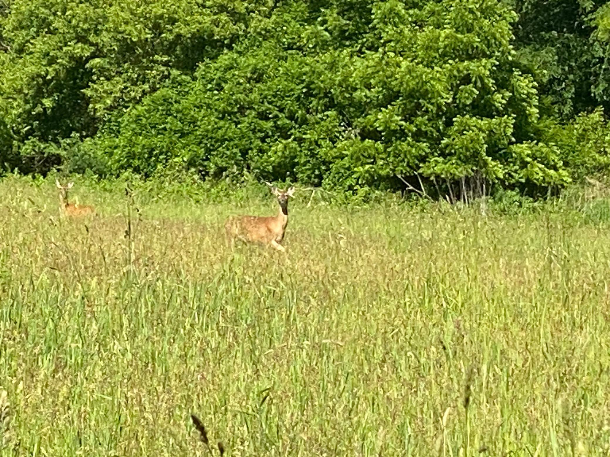 27333 Deep River Road Lanesboro, MN 55949 - Photo 71 of 71