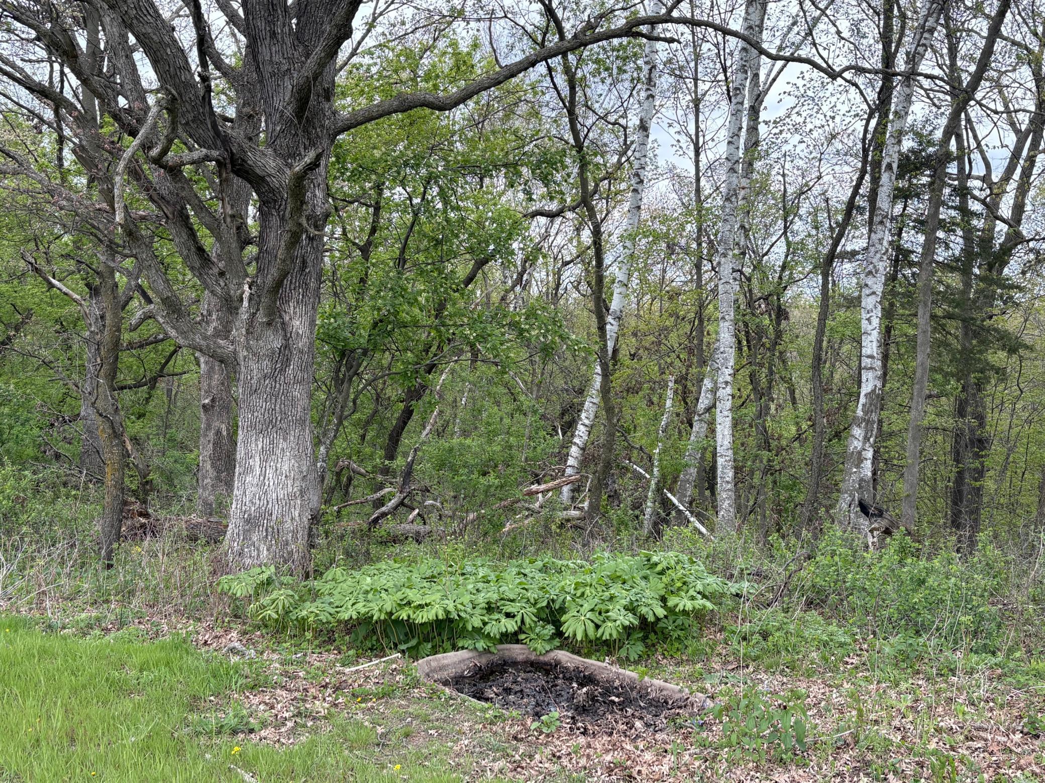 27333 Deep River Road Lanesboro, MN 55949 - Photo 74 of 90