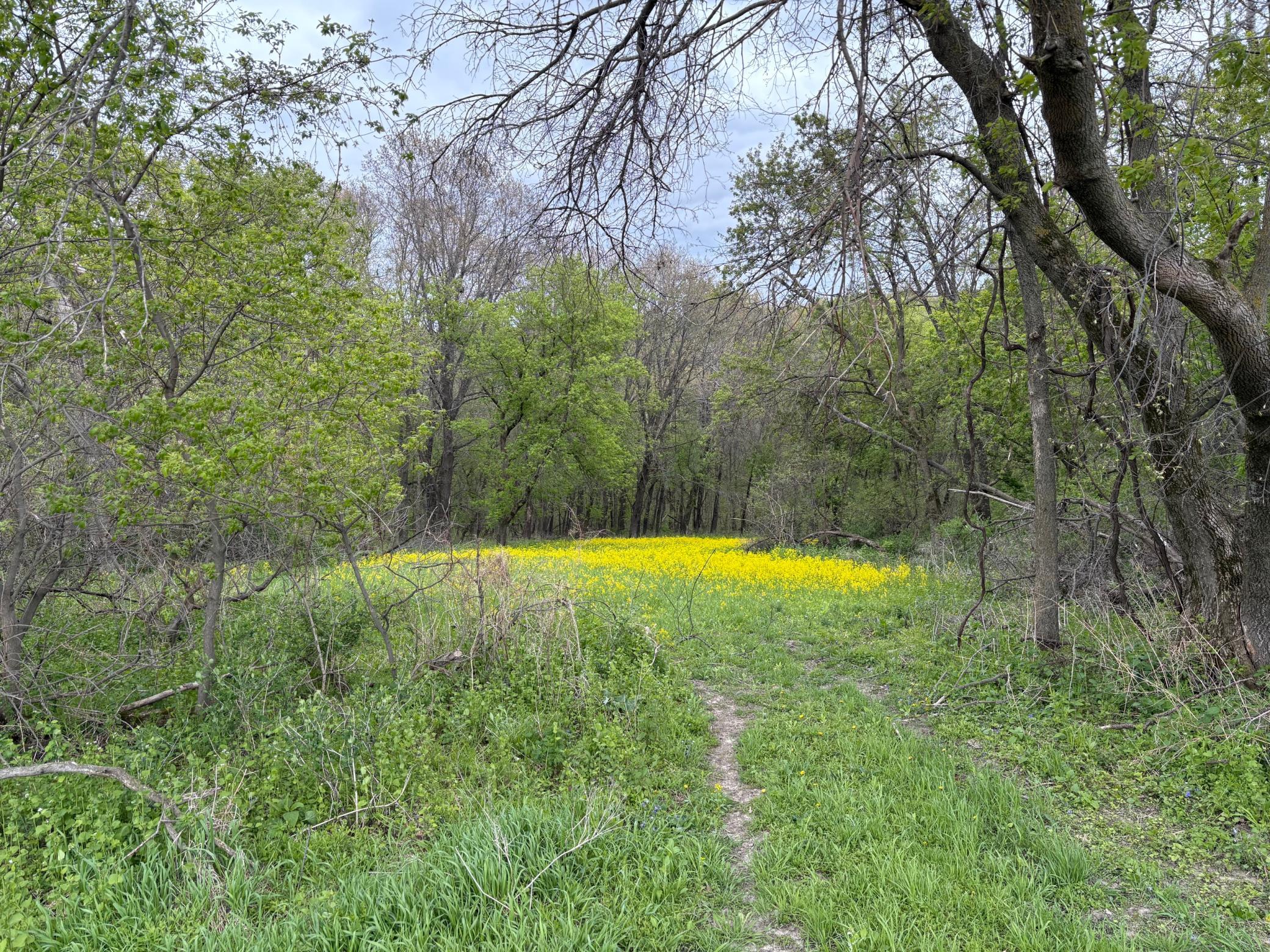 27333 Deep River Road Lanesboro, MN 55949 - Photo 75 of 90
