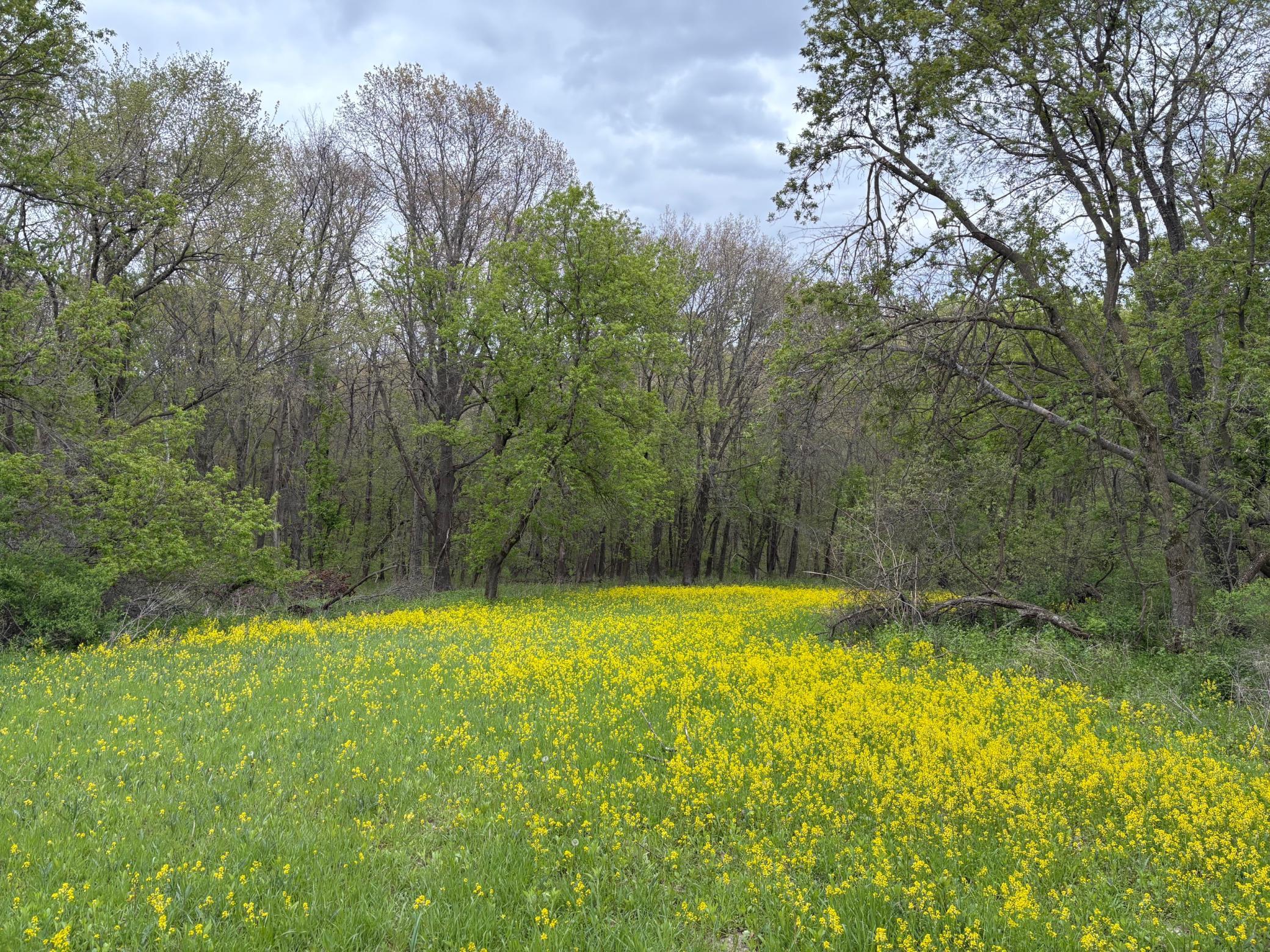 27333 Deep River Road Lanesboro, MN 55949 - Photo 76 of 90