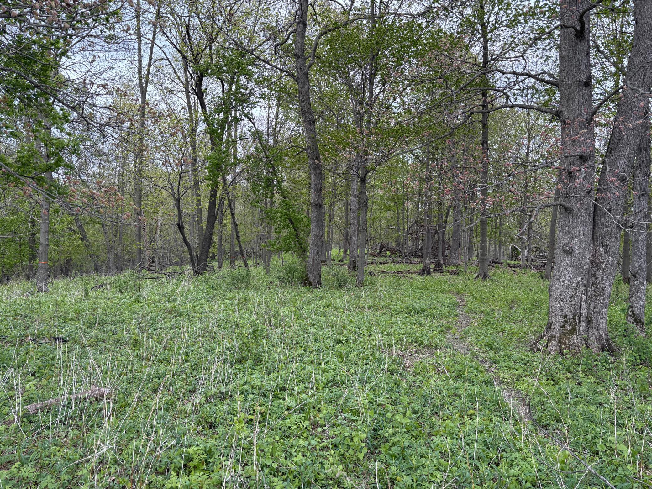 27333 Deep River Road Lanesboro, MN 55949 - Photo 79 of 90