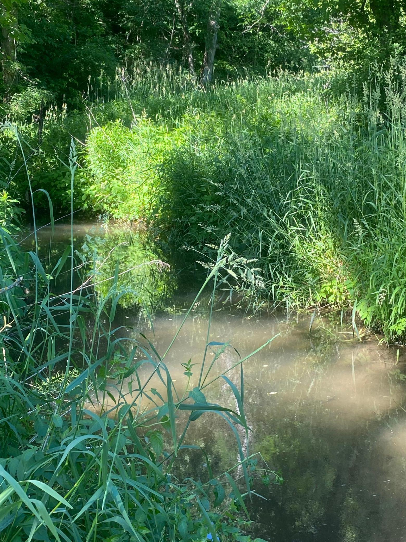 27333 Deep River Road Lanesboro, MN 55949 - Photo 8 of 71