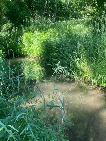 $9,990,000 | 27333 Deep River Road, Lanesboro, MN 55949