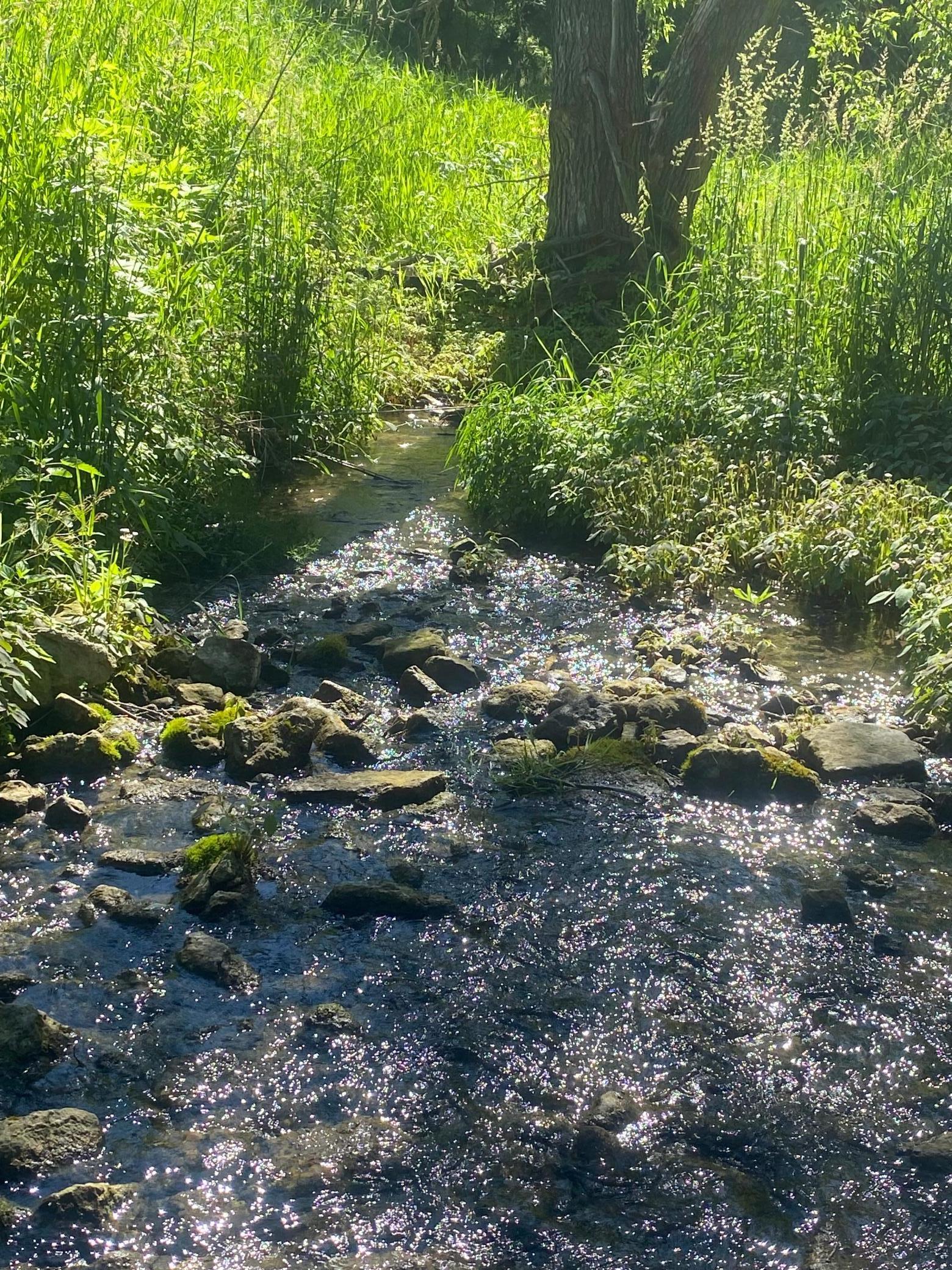 27333 Deep River Road Lanesboro, MN 55949 - Photo 9 of 71