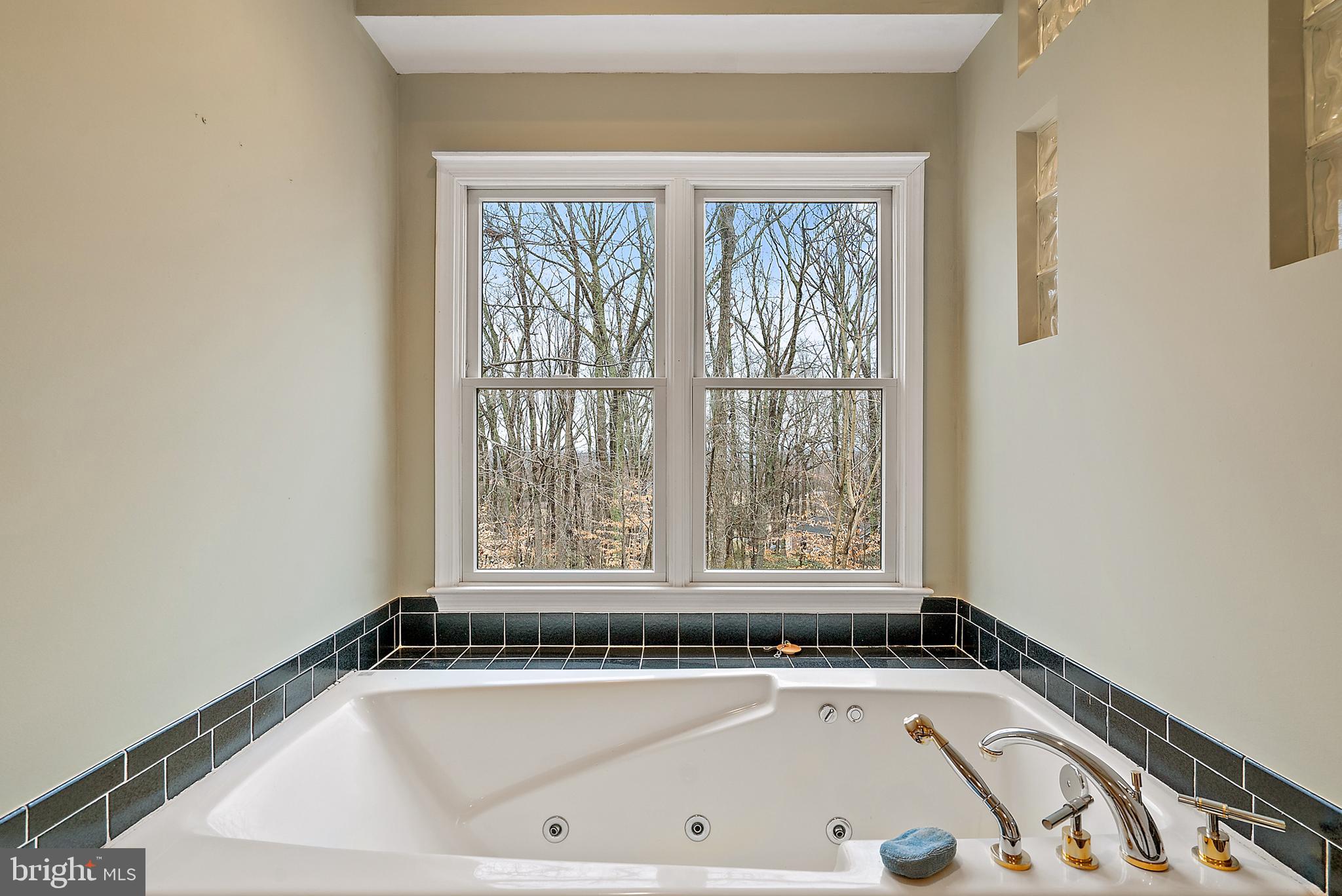 6276 Beverleys Mill Road Broad Run, VA 20137 - Photo 18 of 41 Jetted tub in master bath.