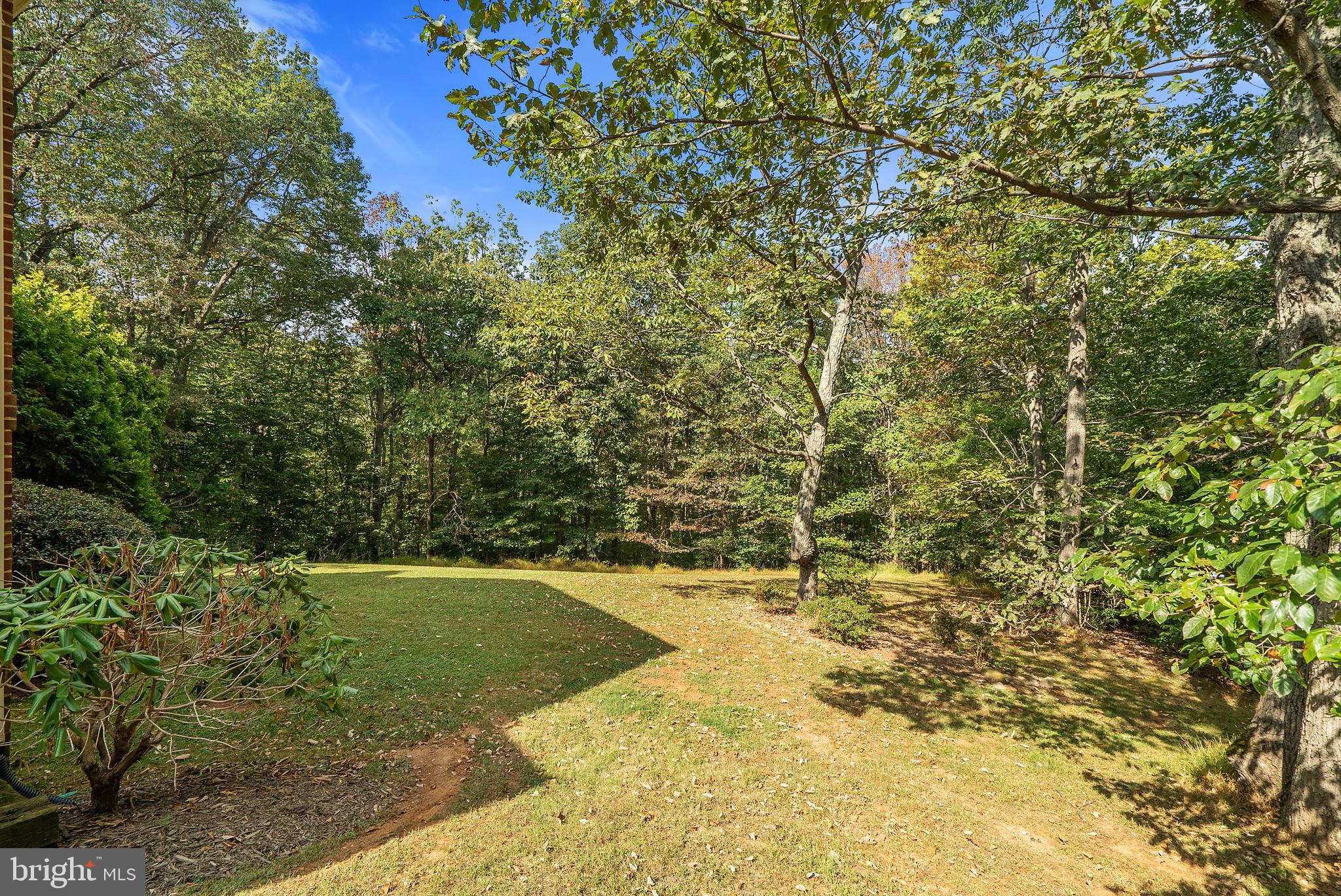 6276 Beverleys Mill Road Broad Run, VA 20137 - Photo 38 of 41 Flat yard surrounded by trees.