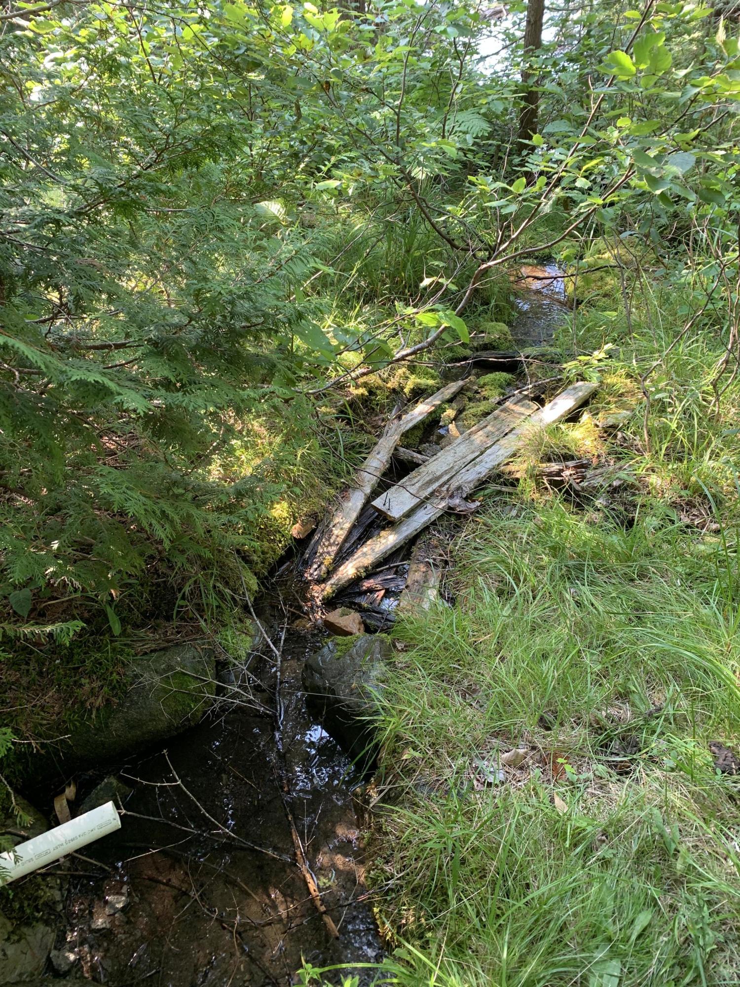 Tbd Heald Pond Road Caratunk, ME 04925 - Photo 20 of 21 IMG_6599