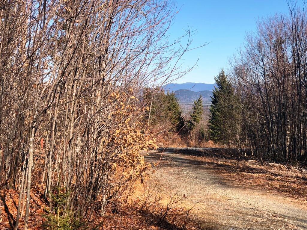 Lot5 Lot5 Alpine Ridge Greenville, ME 04441 - Photo 1 of 4 IMG_4999