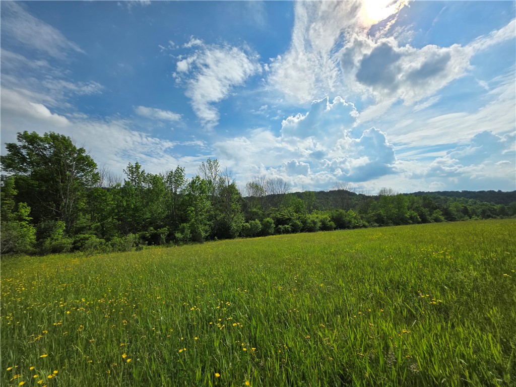 Potter Road Greenwood, NY 14839 - Photo 10 of 23