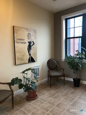 a living room with furniture flowerpot and a potted plant