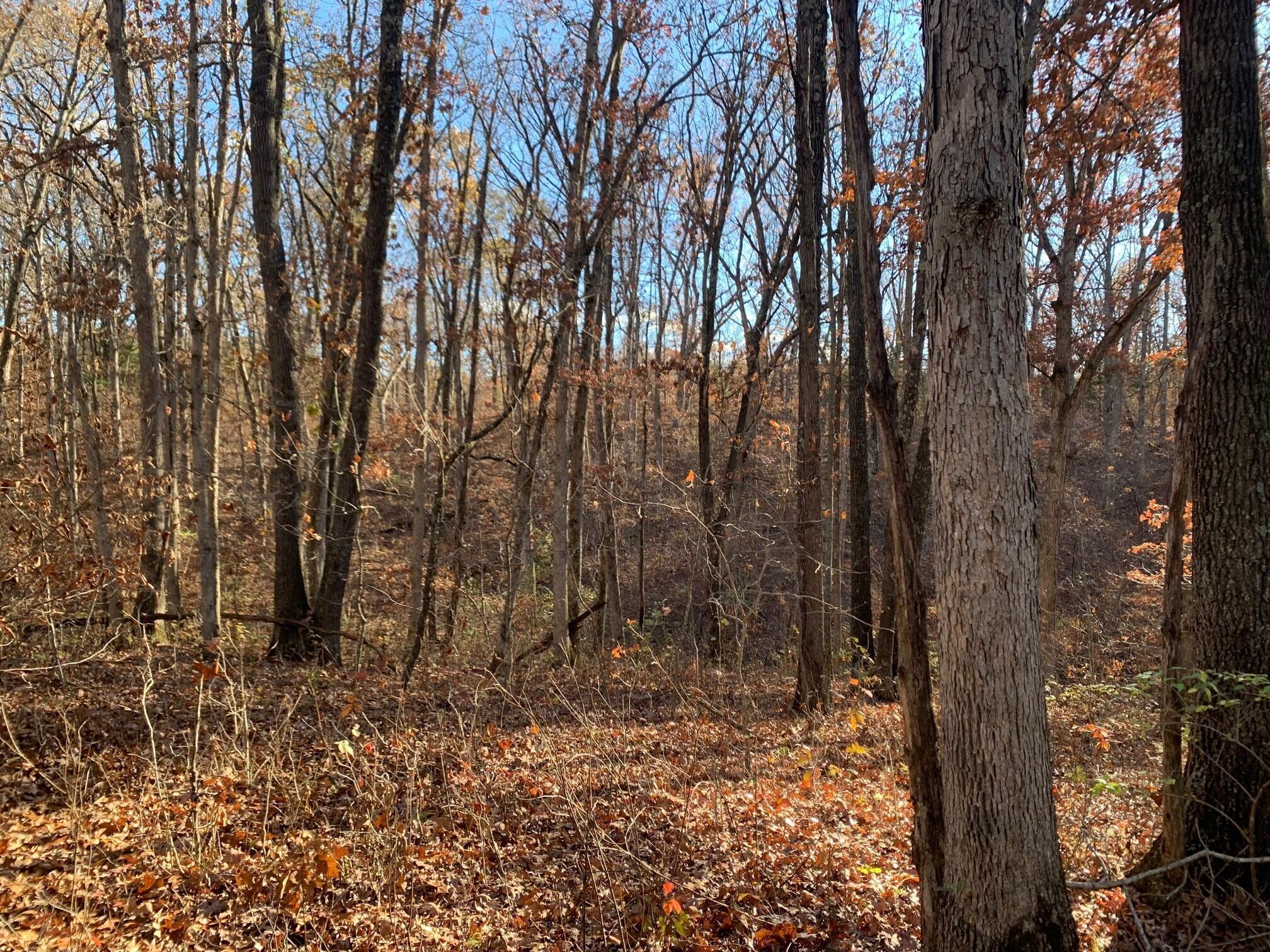 9.04-acres North Ridge Road Columbia, MO 65203 - Photo 1 of 9 20241113132743303661000000-o