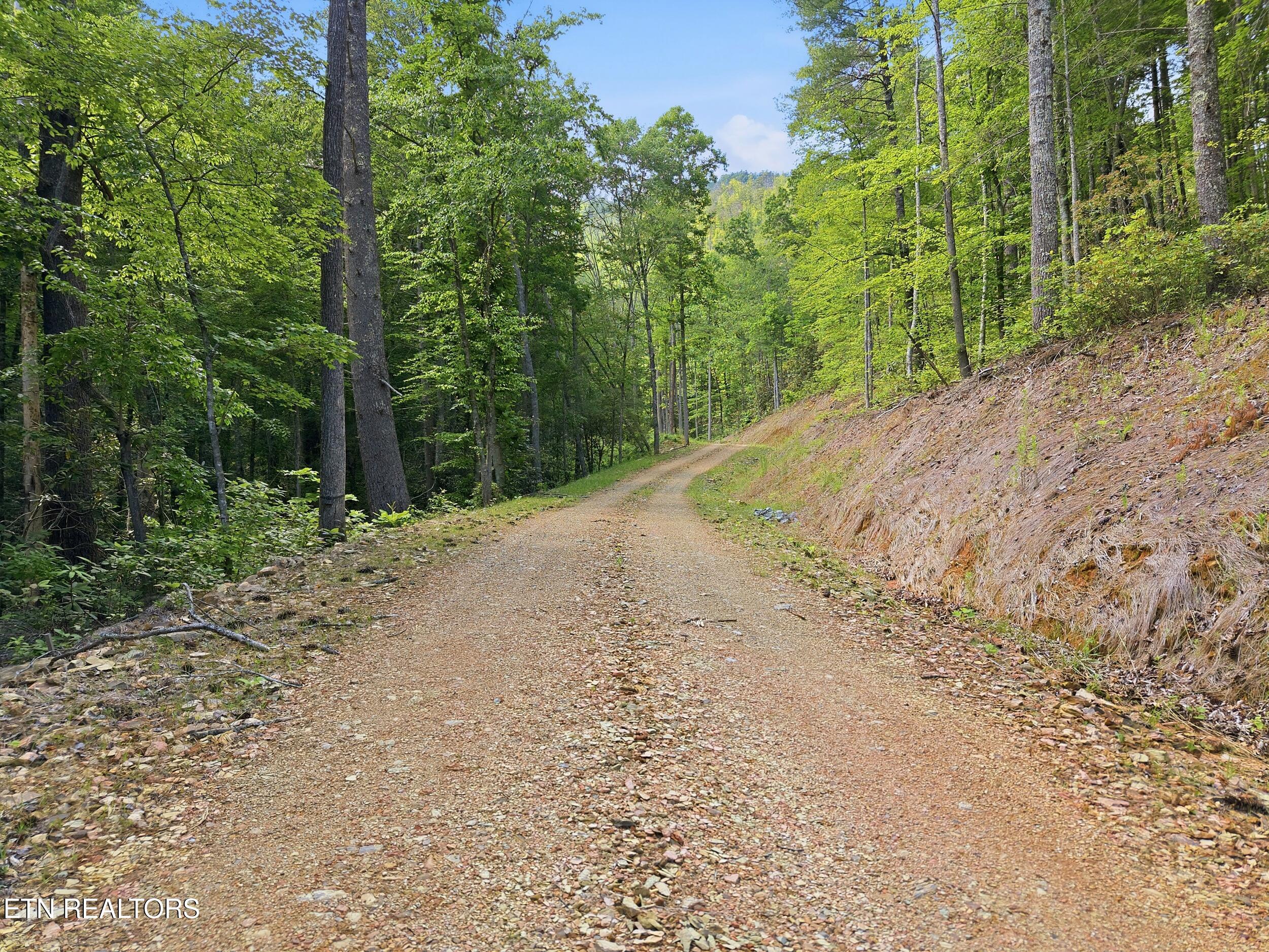 909 The Loop Road Walland, TN 37886 - Photo 9 of 32 12_909_the_loop_rd_0009