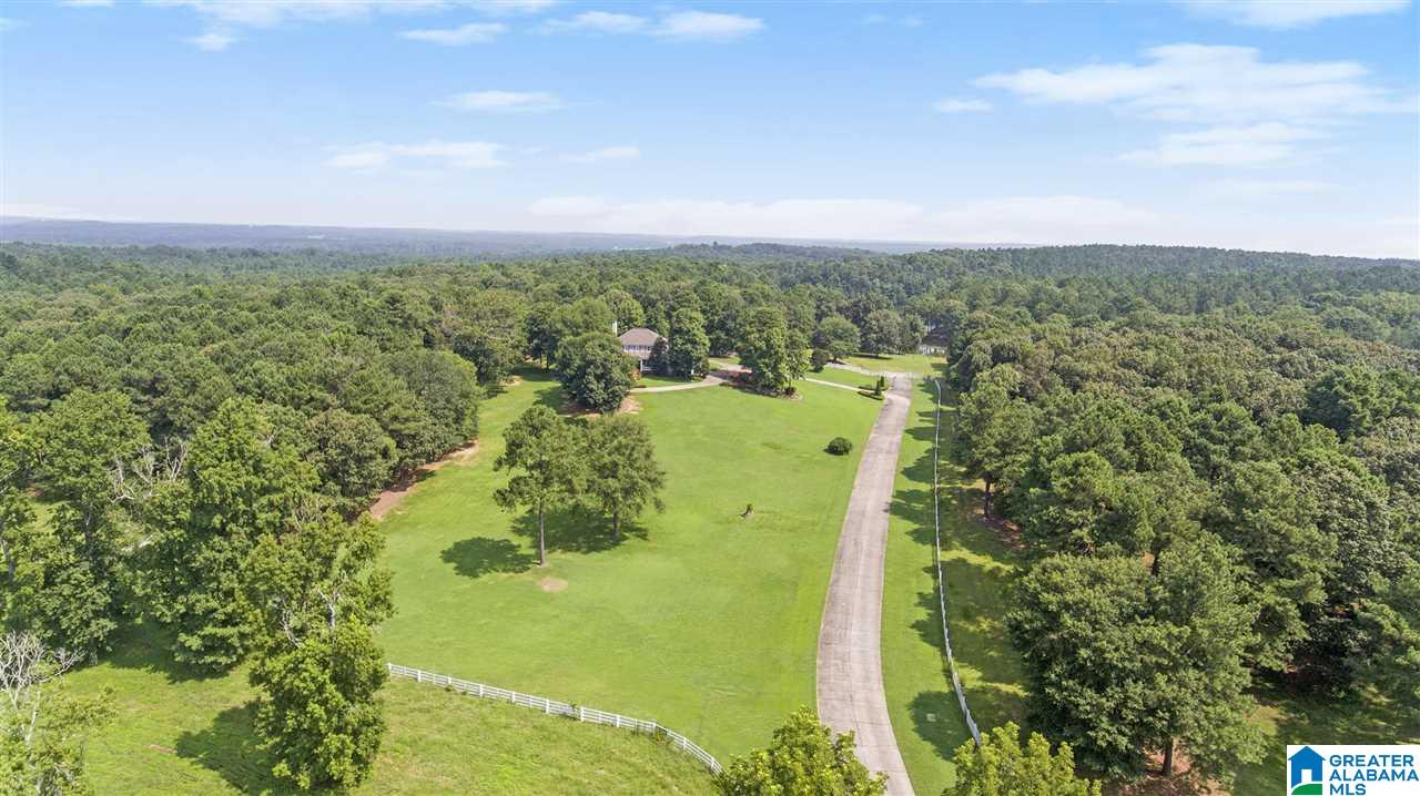 5315 Mays Bend Road Pell City, AL 35128 - Photo 44 of 50
