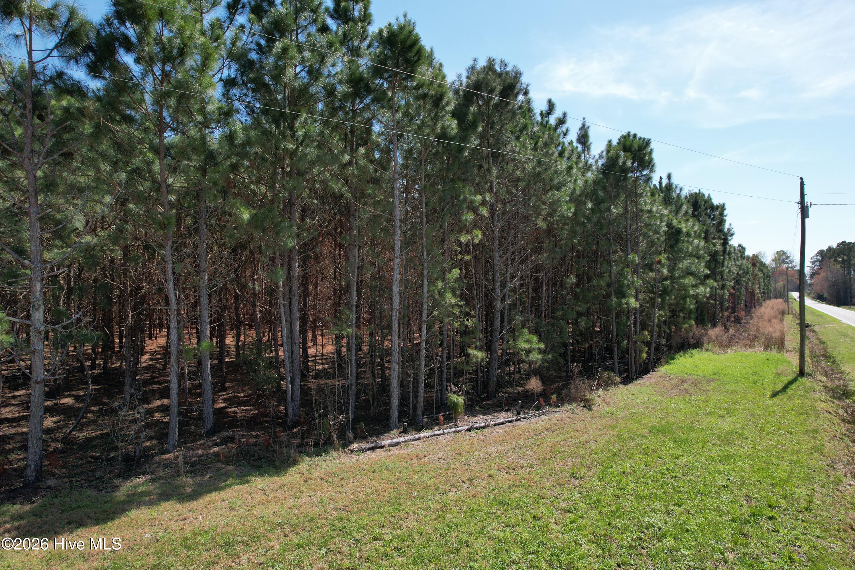 0 Old Stake Road Clarendon, NC 28432 - Photo 22 of 37 Image 20