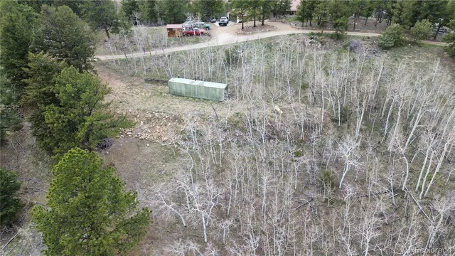 a view of a dry yard with trees