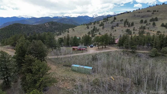 a view of a dry yard with trees