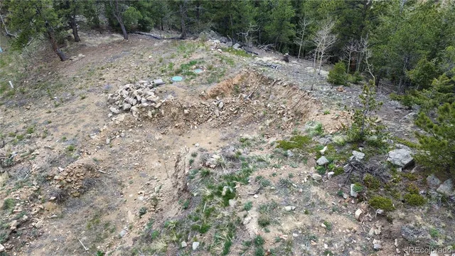 a view of a yard with a tree