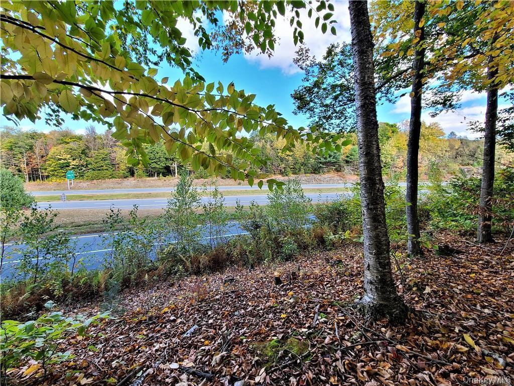 Lot 5.4 Kaufman Road Monticello, NY 12701 - Photo 9 of 45