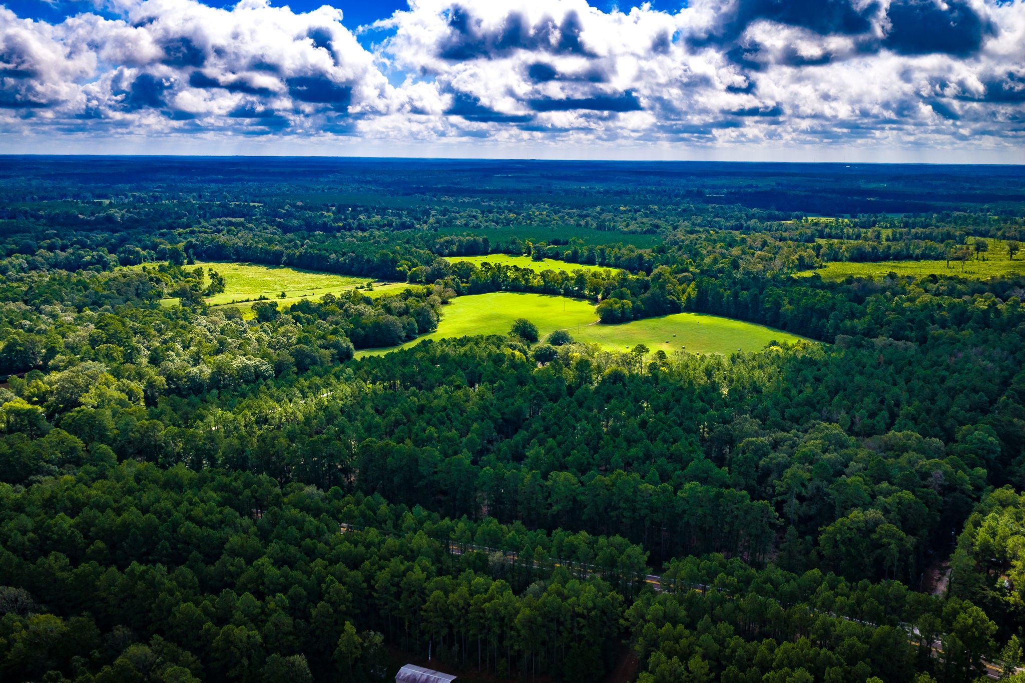 264 David Hon Road Livingston, TX 77351 - Photo 41 of 49 Aerial View 11