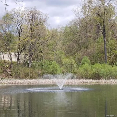 a view of lake with trees