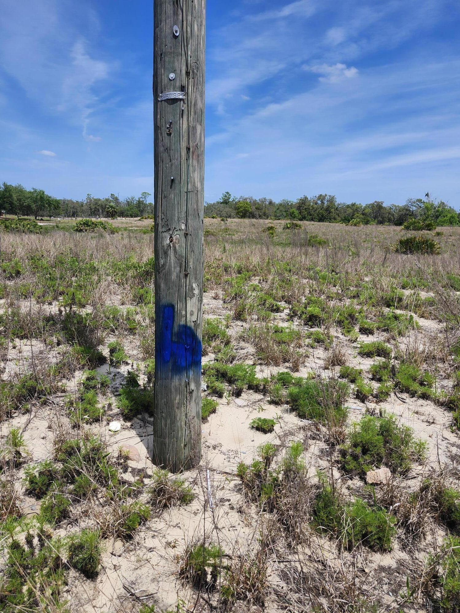Lot 30 Fazzini Rd Lake Babson Park, FL 33827 - Photo 2 of 4 Arrow indicating location of lot