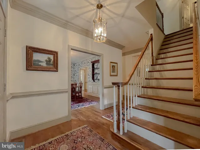a view of a field with trees in the background