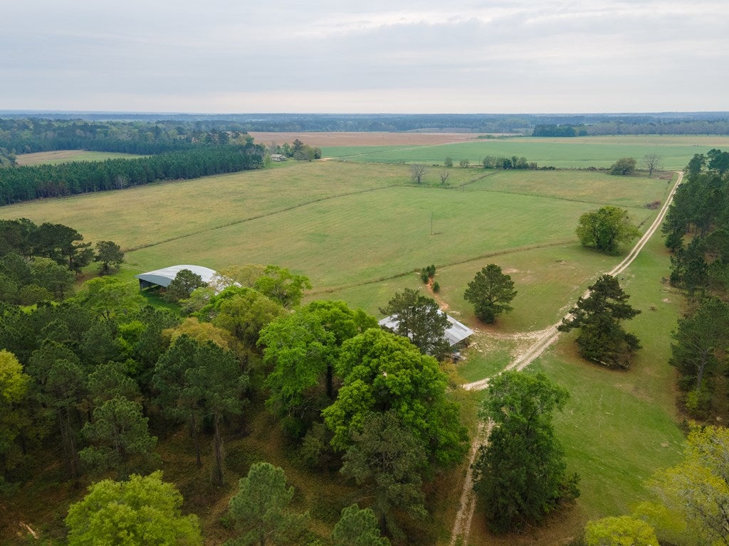 649 Okapilco Church Road Dixie, GA 31629 - Photo 42 of 49 Gallery Image 42