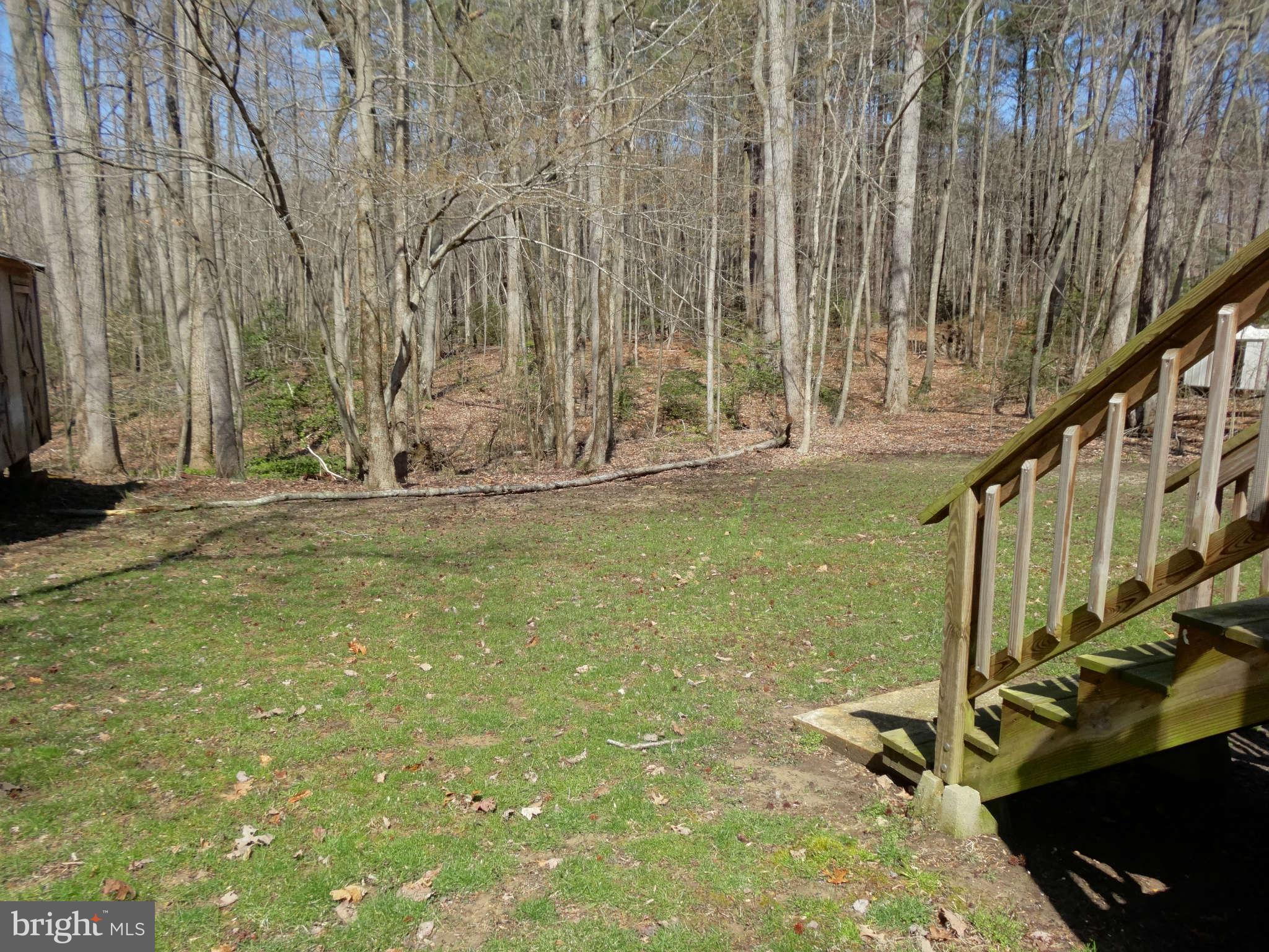 340 Maverick Road Lusby, MD 20657 - Photo 12 of 21 Huge back yard, treed view