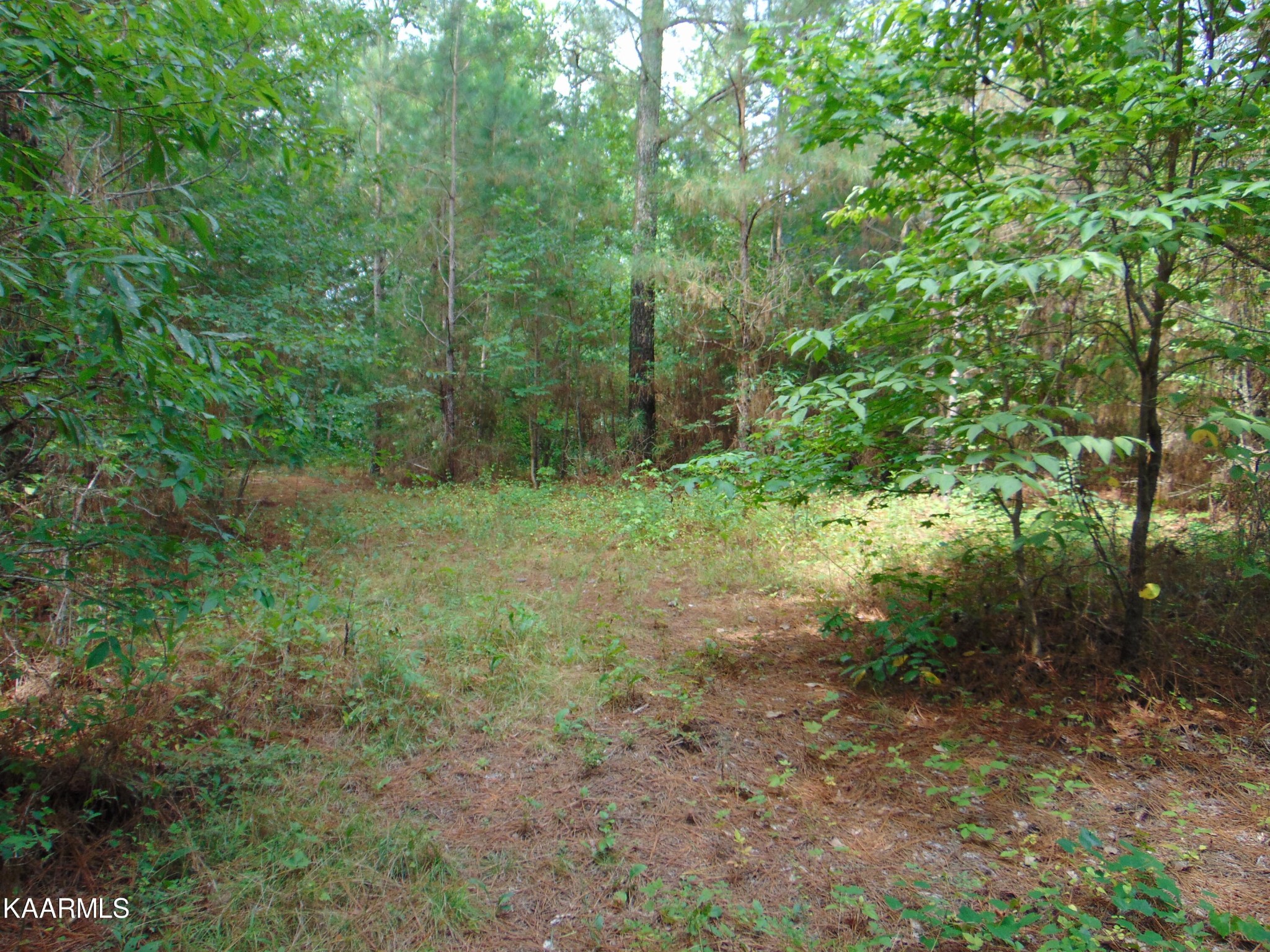 37 Pinhook Road Delano, TN 37325 - Photo 15 of 47 Gallery Image 15