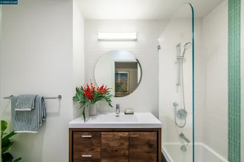 a bathroom with a sink a mirror and a potted plant
