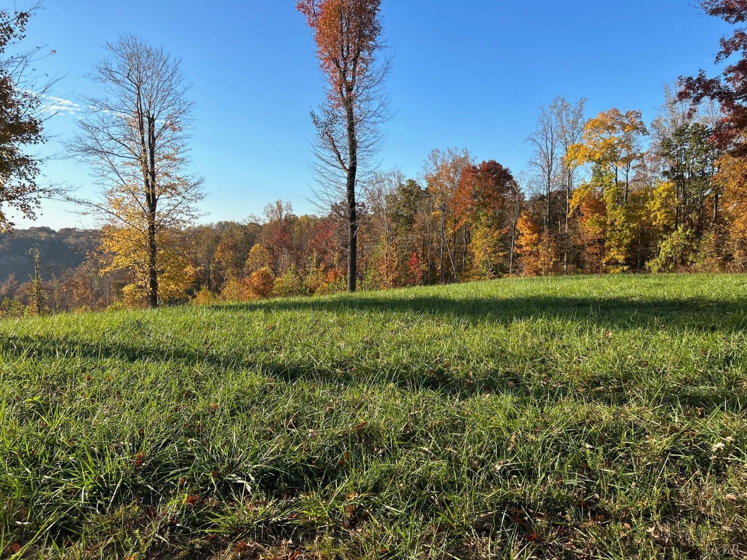 -lot B Burgess Road Madison Heights, VA 24572 - Photo 3 of 10 Gallery Image 3