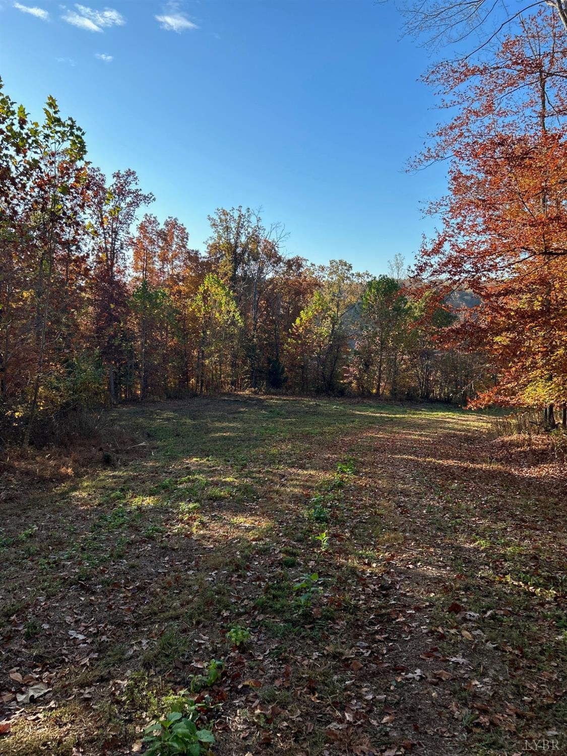 -lot B Burgess Road Madison Heights, VA 24572 - Photo 4 of 10 Gallery Image 4